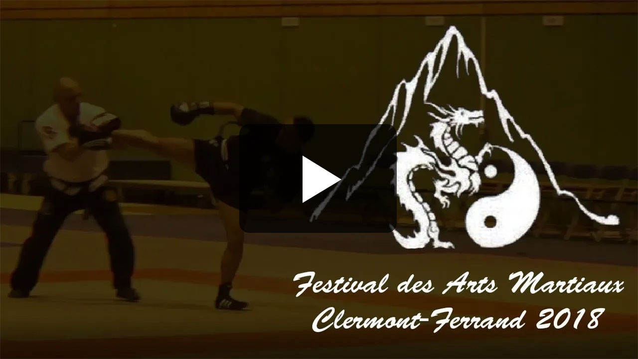 Festival des Arts Martiaux Clermont-Ferrand 2018